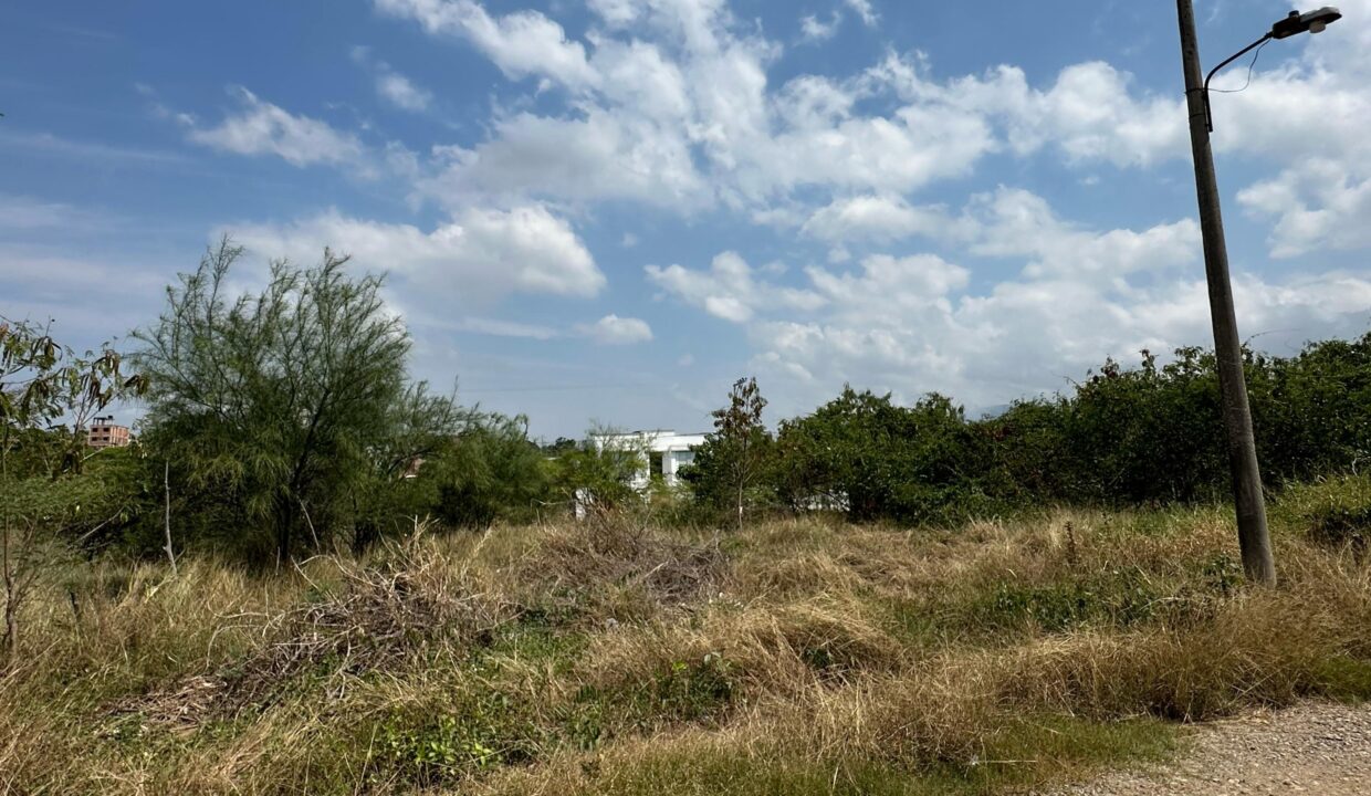 V4028.jpg