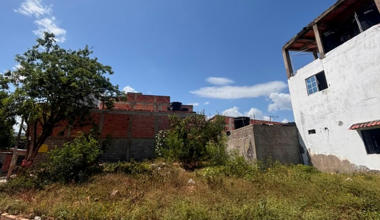 V4183.jpg