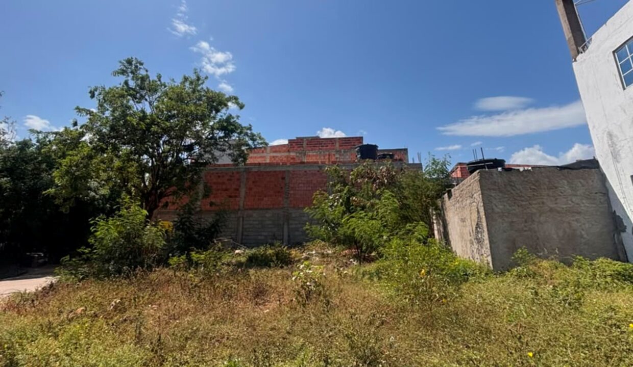 V4183F4.jpg